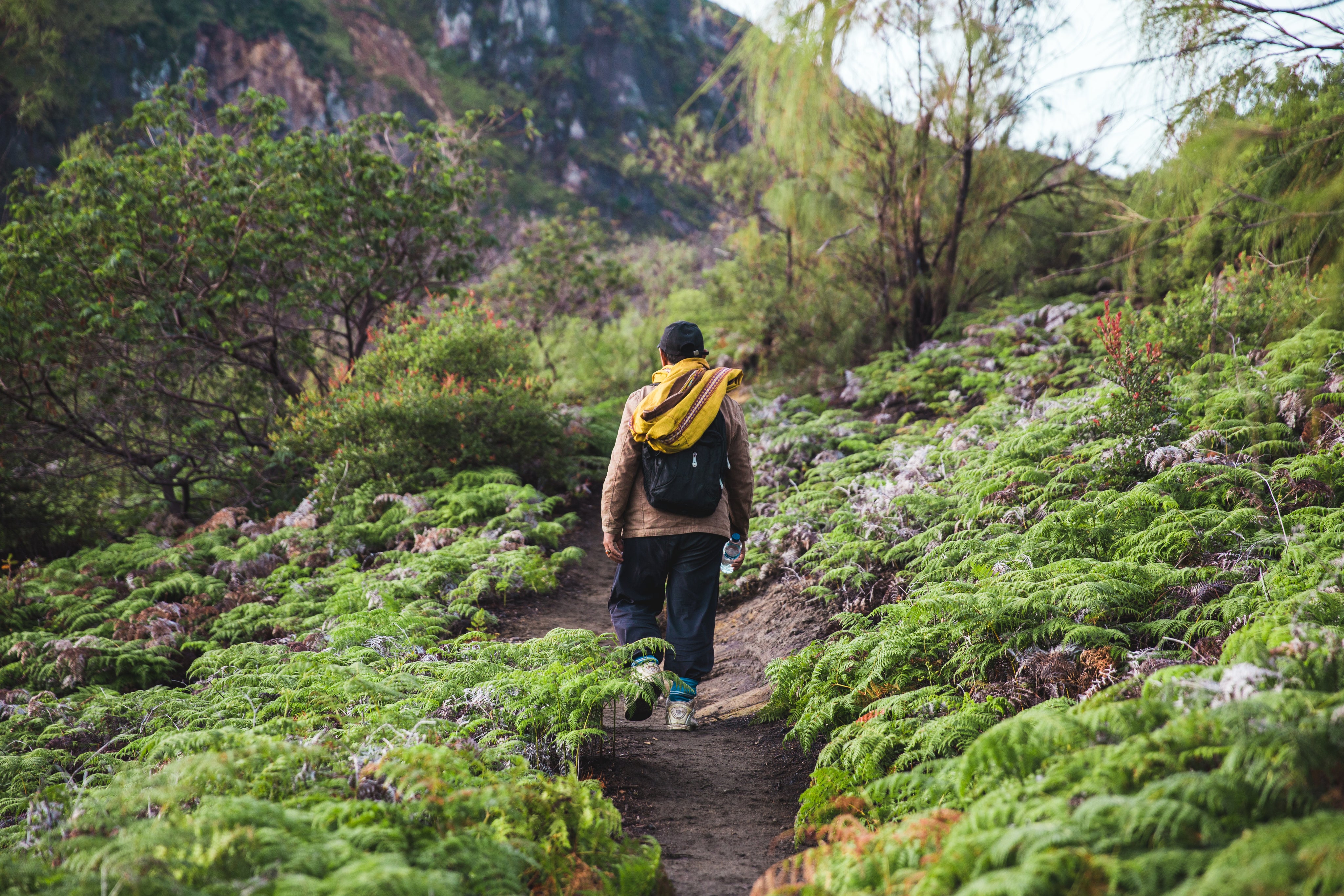 files/hiking-the-path-up.jpg